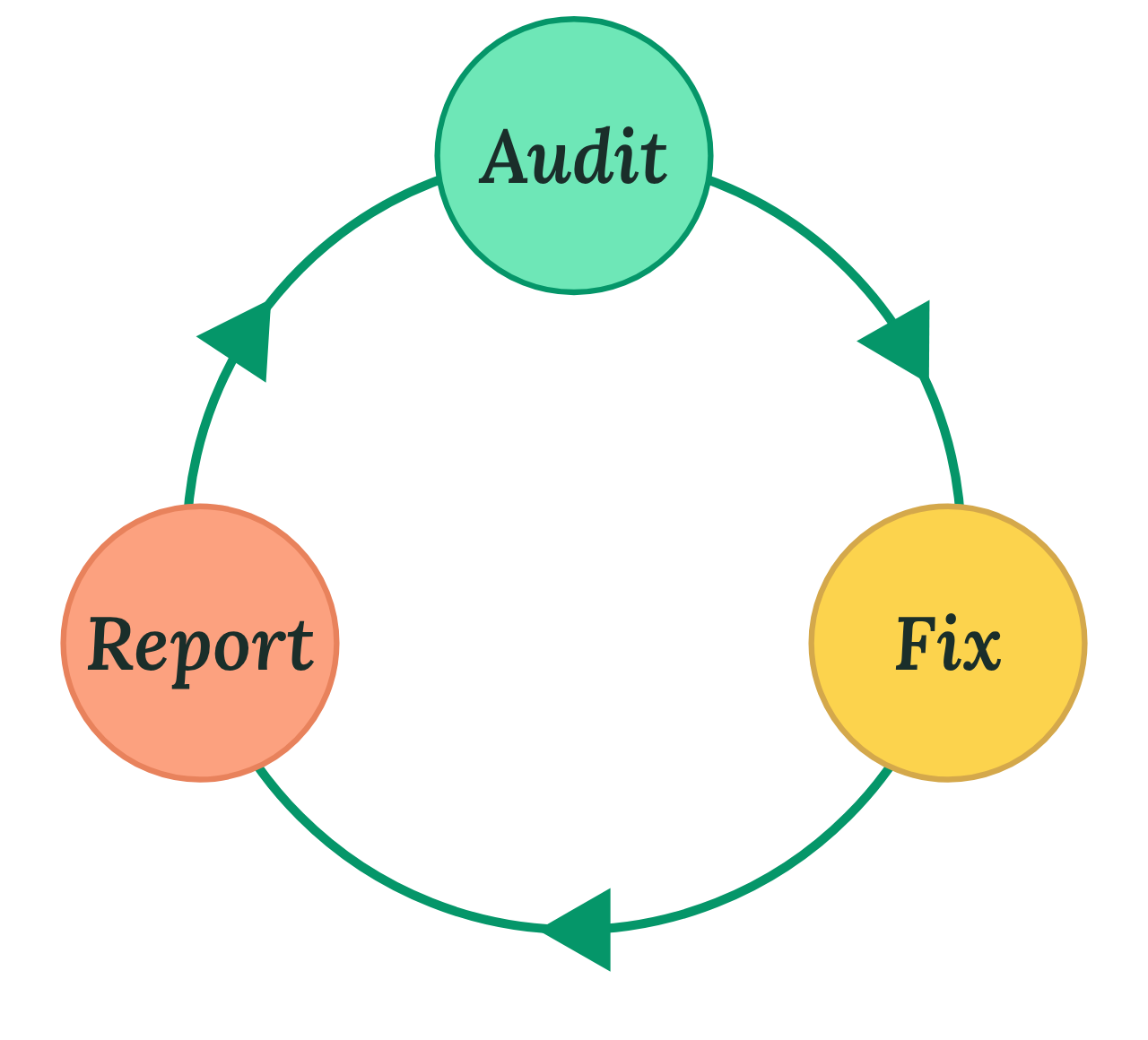 Audit, Fix, Report cycle